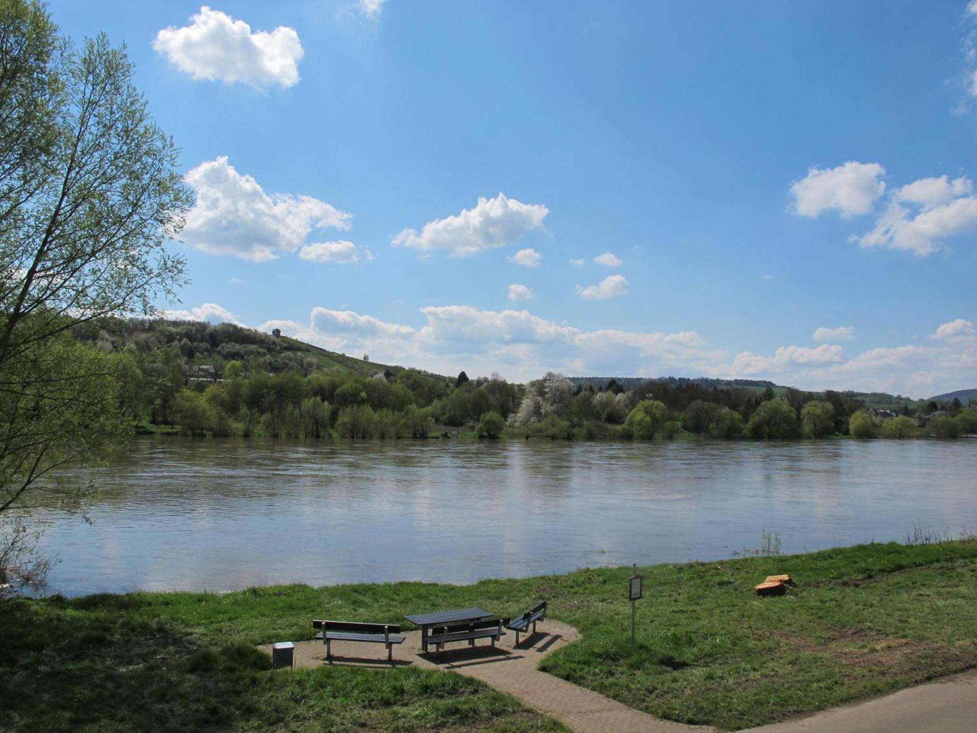 Mosel - River - Quartier 31 Hotel Lieser Luaran gambar